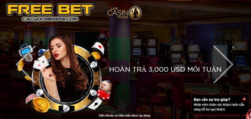 Chương trình khuyến mãi Bonus Rain của Sc88 có thể giúp bạn tăng tiền thắng cược khi chơi máy đánh bạc - Sc88
