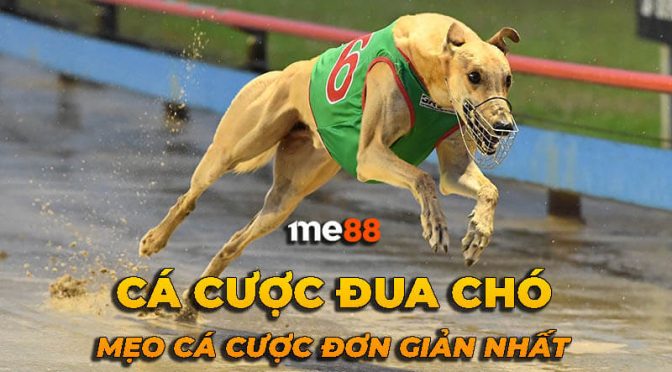 Các yếu tố để đánh giá các công ty game cấp 98Win - 98Win