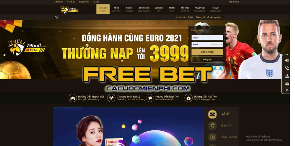 Tổng quan về 911Win (một trang web chơi game trực tuyến uy tín) - 911Win