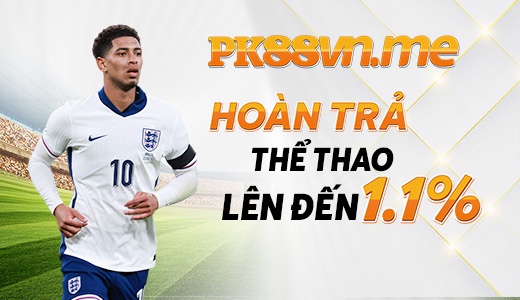 Hướng dẫn đơn giản để sử dụng Zm88 - Zm88