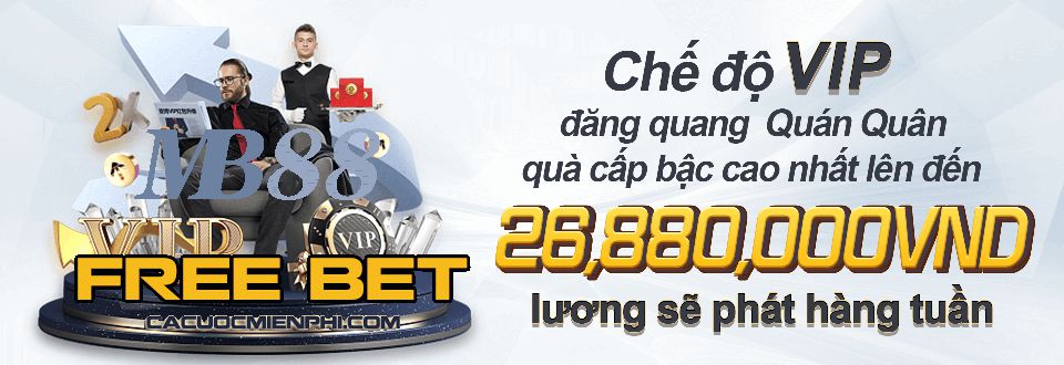 Năng lực và khả năng thích ứng Mb66 - Mb66