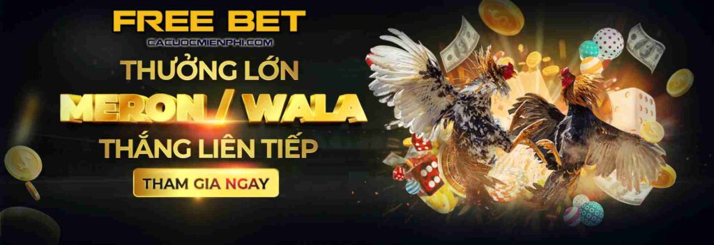 Nền tảng giải trí đẳng cấp thế giới cấp I9bet - I9bet