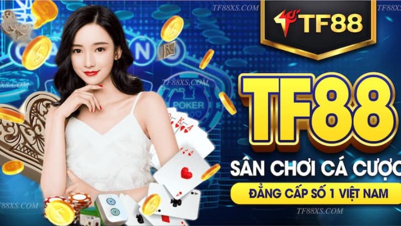Tổng quan về Tập đoàn Giải trí Tk88 - Tk88