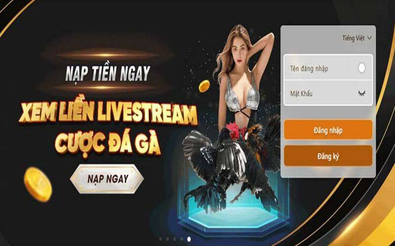 Trang web chơi game trực tuyến được xếp hạng 777Loc và các trò chơi bài uy tín - 777Loc