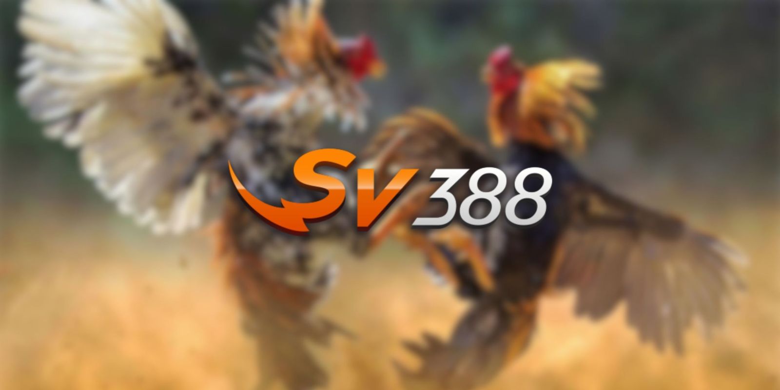 Khám phá thư viện game khổng lồ và hấp dẫn với các tựa game đạt chuẩn S666 - S666