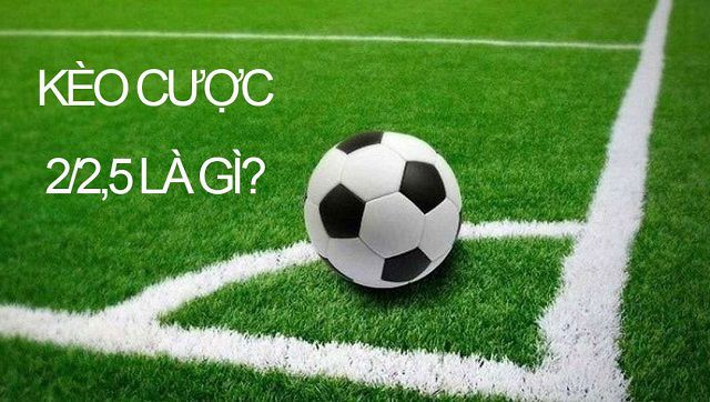 Máy đánh bạc được xếp hạng 007Win là nền tảng duy nhất đảm bảo rút tiền không giới hạn - 007Win