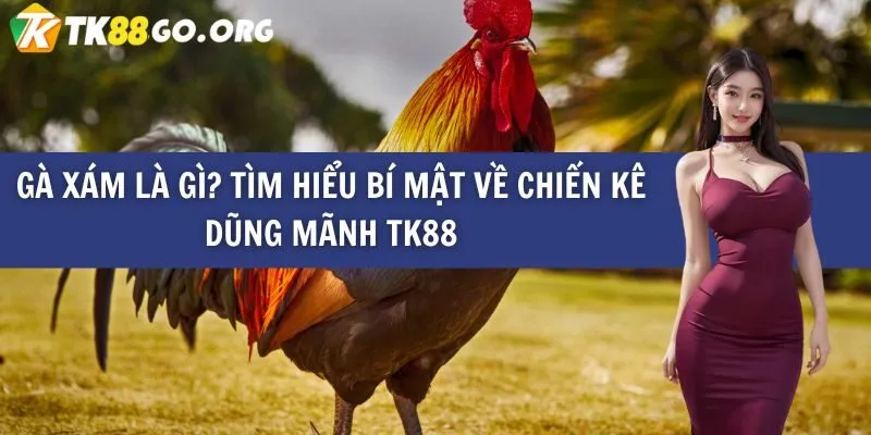 Uw99 hân hạnh giới thiệu chuyên mục Trò chơi đỉnh cao - Uw99