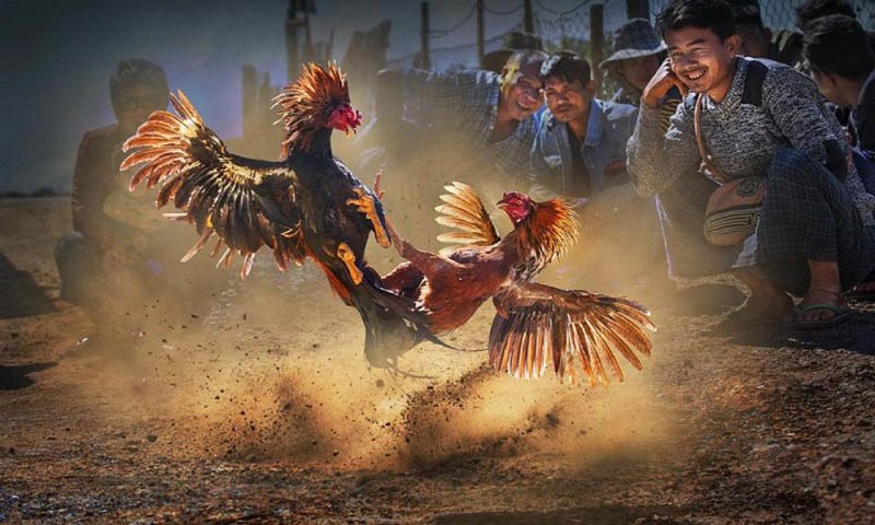 Một trò chơi xuất sắc ở cấp độ Dewabet - Dewabet